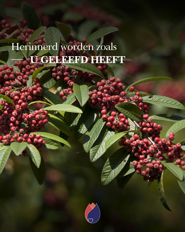 Hoe Wilt U Herinnerd Worden?