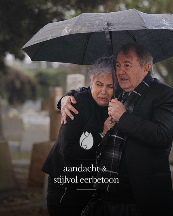 Troost In Kleine Gebaren