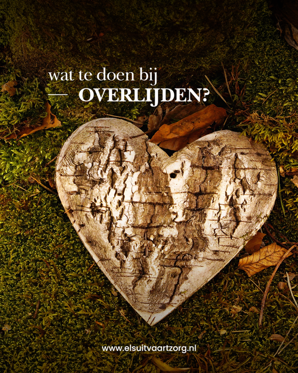 Begeleiding Bij Verlies Van Een Dierbare