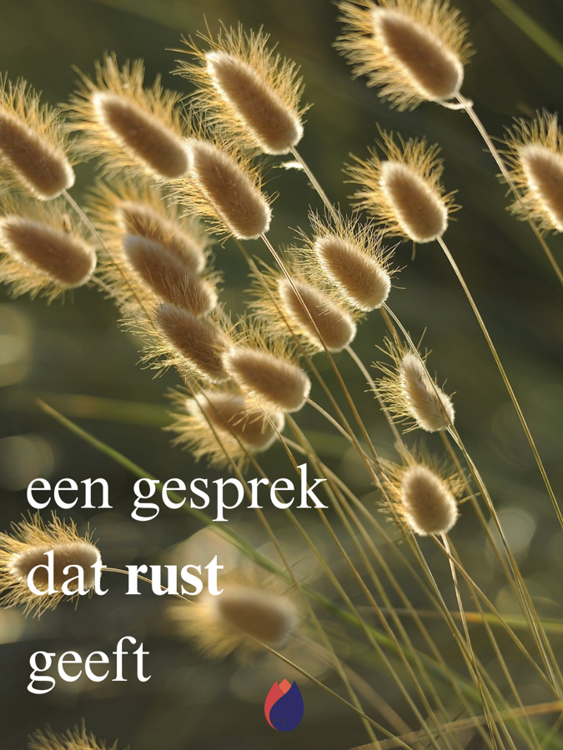 Soms kan één gesprek al veel rust geven. 🤍